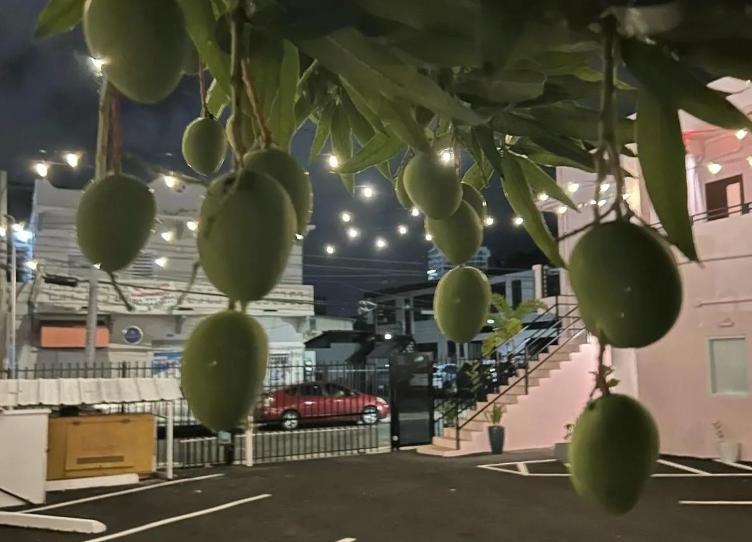 Room 3 Vibrant Walkable Hub In Santurce 산후안 호텔